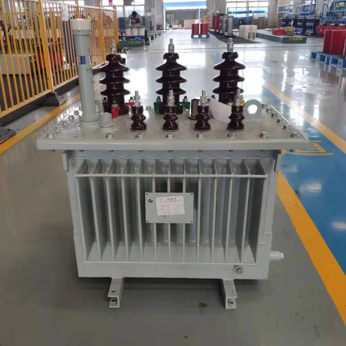 Oil Immersed Transformers